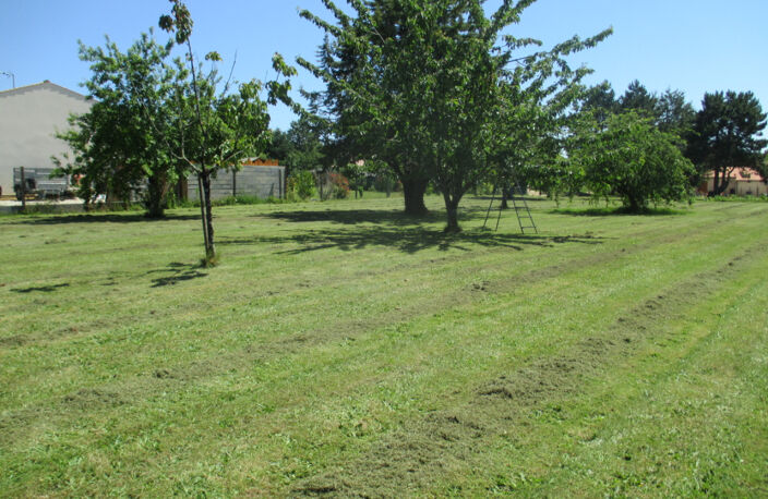 A Vendre Terrain Le Douhet env.1000 m2 — photo 3