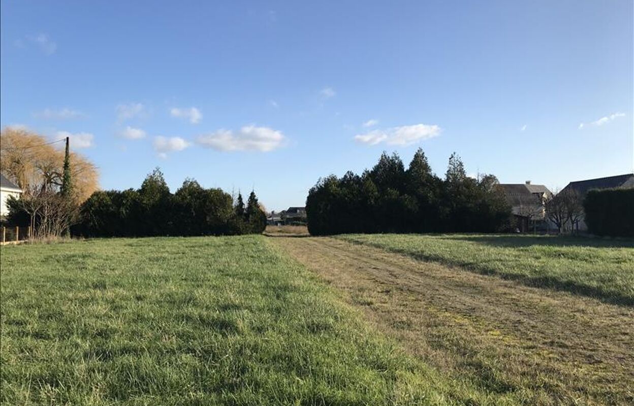 terrain  pièces 4635 m2 à vendre à Saumur (49400)