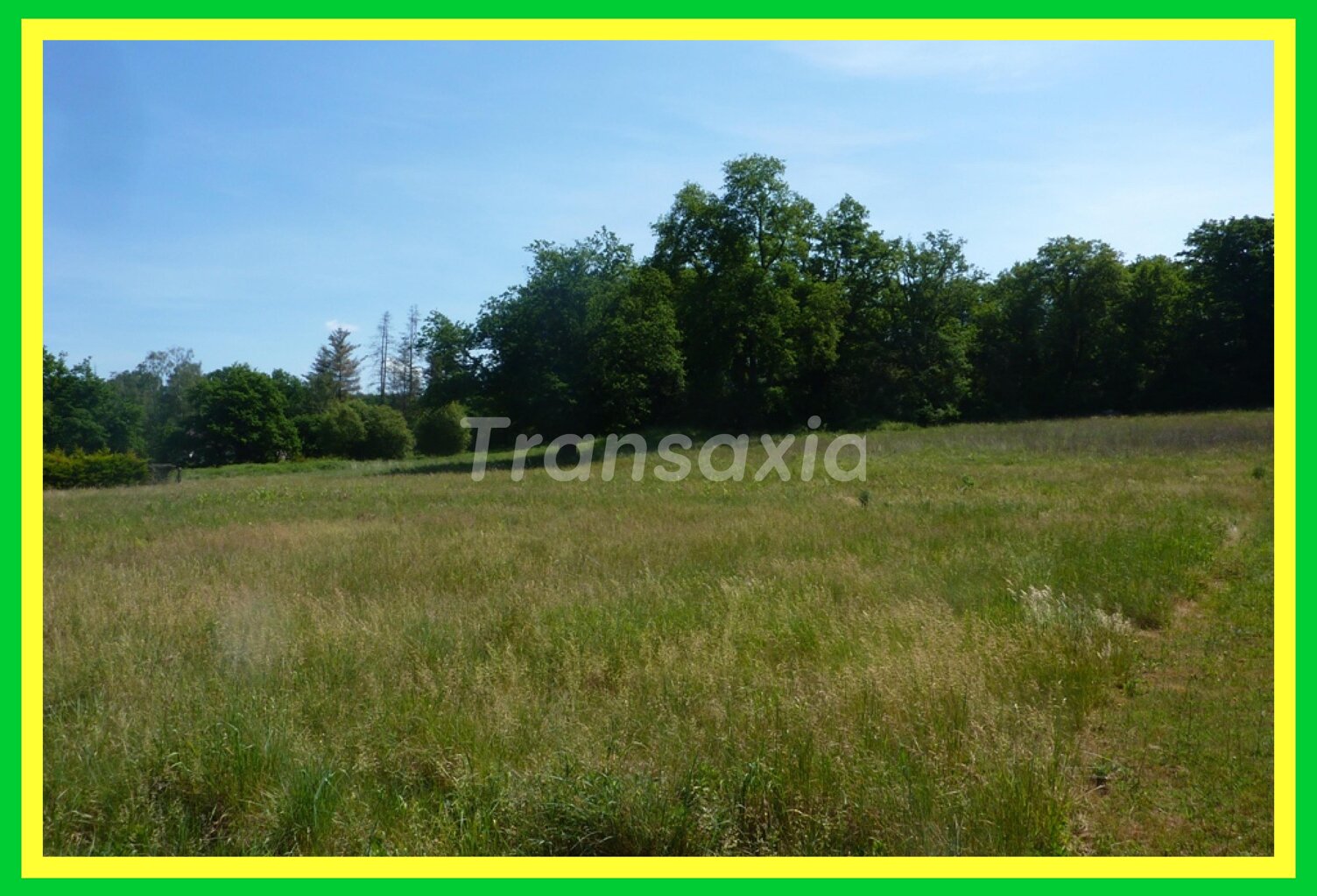 TERRAIN A BATIR LISIERE FORET — photo 1