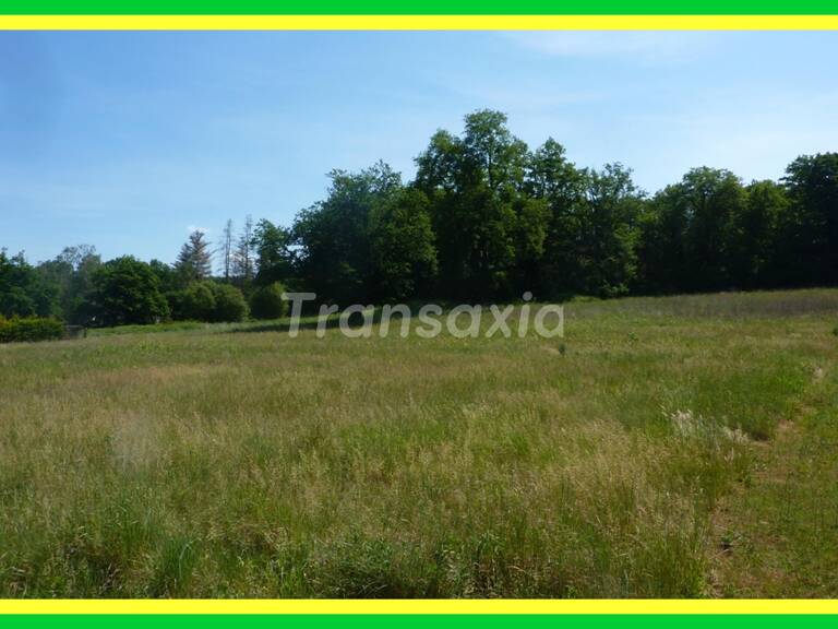 TERRAIN A BATIR LISIERE FORET — photo 1