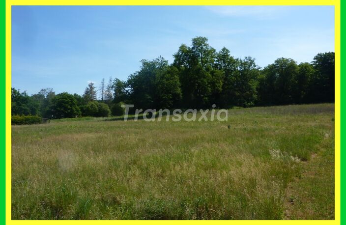 TERRAIN A BATIR LISIERE FORET — photo 2