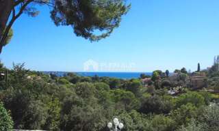 Maison 7 Pièces 280 m² à vendre à Antibes (06600)