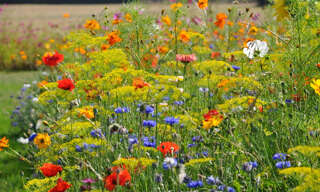 Terrain  8126 m² à vendre à Viriat (01440)