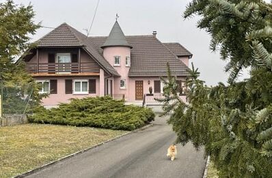 vente maison 728 000 € à proximité de Aspach-le-Bas (68700)