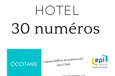 Commerce  310000 €