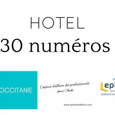 Commerce  310000 €