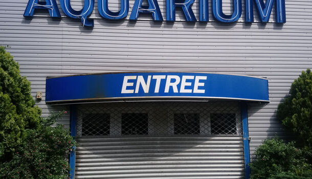 Autres  à vendre Pierrefitte-Nestalas 65260