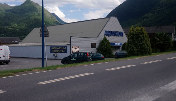 Autres  à vendre Pierrefitte-Nestalas 65260