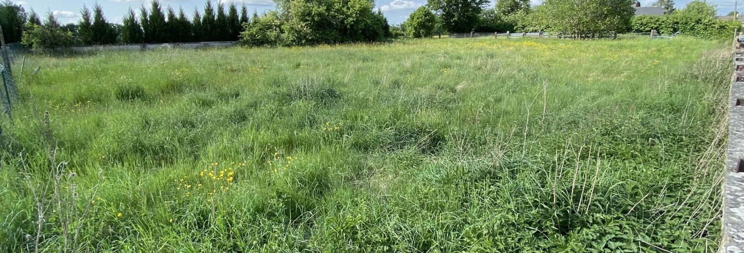 Terrain  2500 m² à vendre à Mondrepuis (02500)