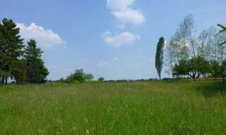 Terrain  3031 m² à vendre à Erre (59171)