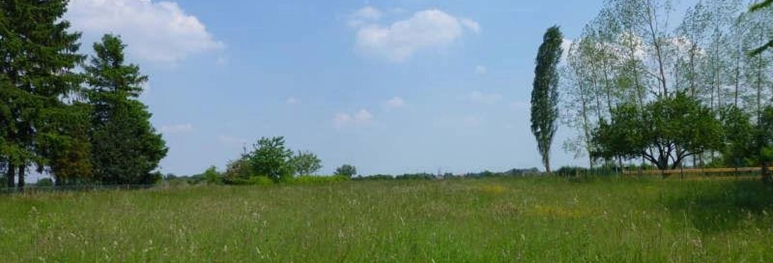 Terrain  3031 m² à vendre à Erre (59171)