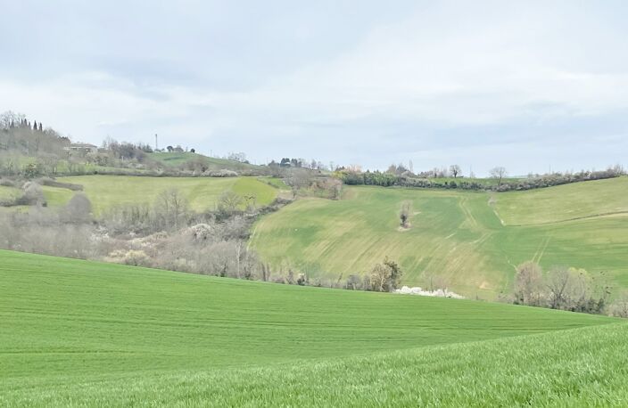 Très beau terrain constructible avec vue sur les Pyrénées — photo 2