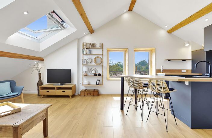 Lumineux logement 1 chambre 56 m² - Tassin proche Gare d'Ecully - vue dégagée — photo 3