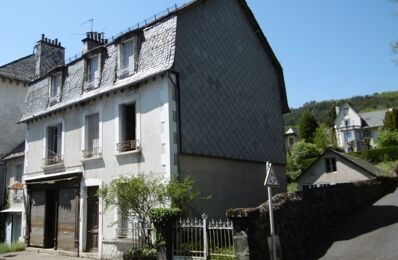 vente immeuble 65 000 € à proximité de Saint-Hippolyte (15400)