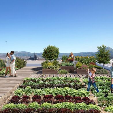 Appartement 4 pièces 265000 €