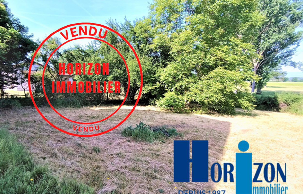 terrain  pièces 425 m2 à vendre à Cuzieu (42330)