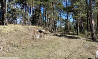 Terrain  16596 m² à vendre à Le Mas (06910)