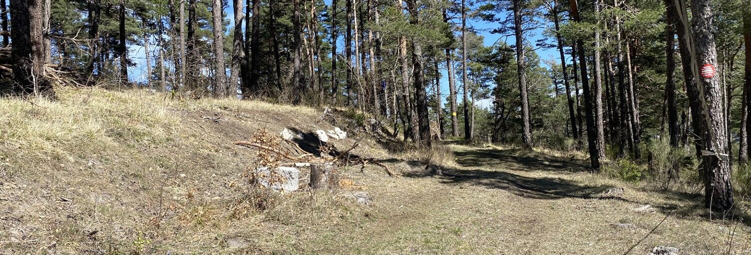 Terrain  16596 m² à vendre à Le Mas (06910)