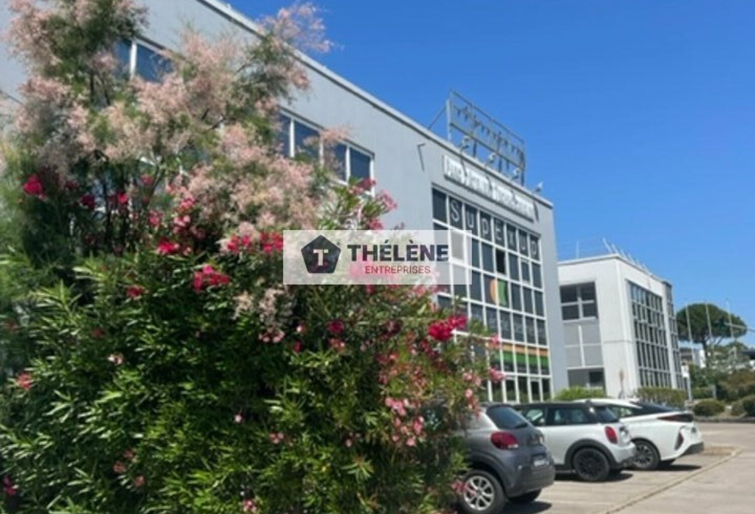 BUREAUX à LOUER — photo 1