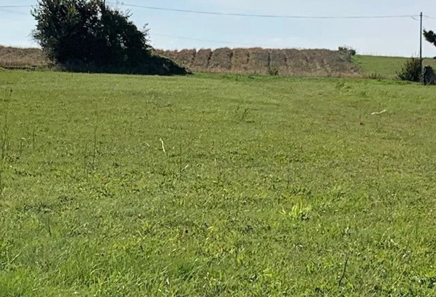 Terrain — photo 1