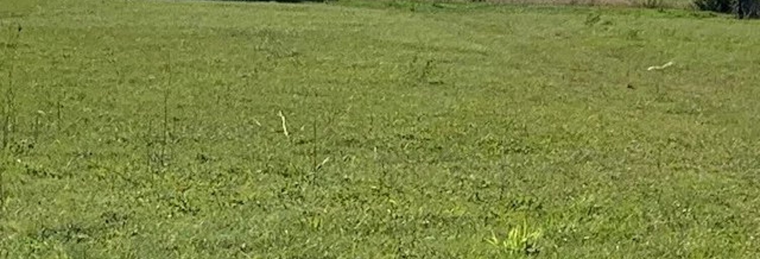 Terrain  3070 m² à vendre à Tournecoupe (32380)