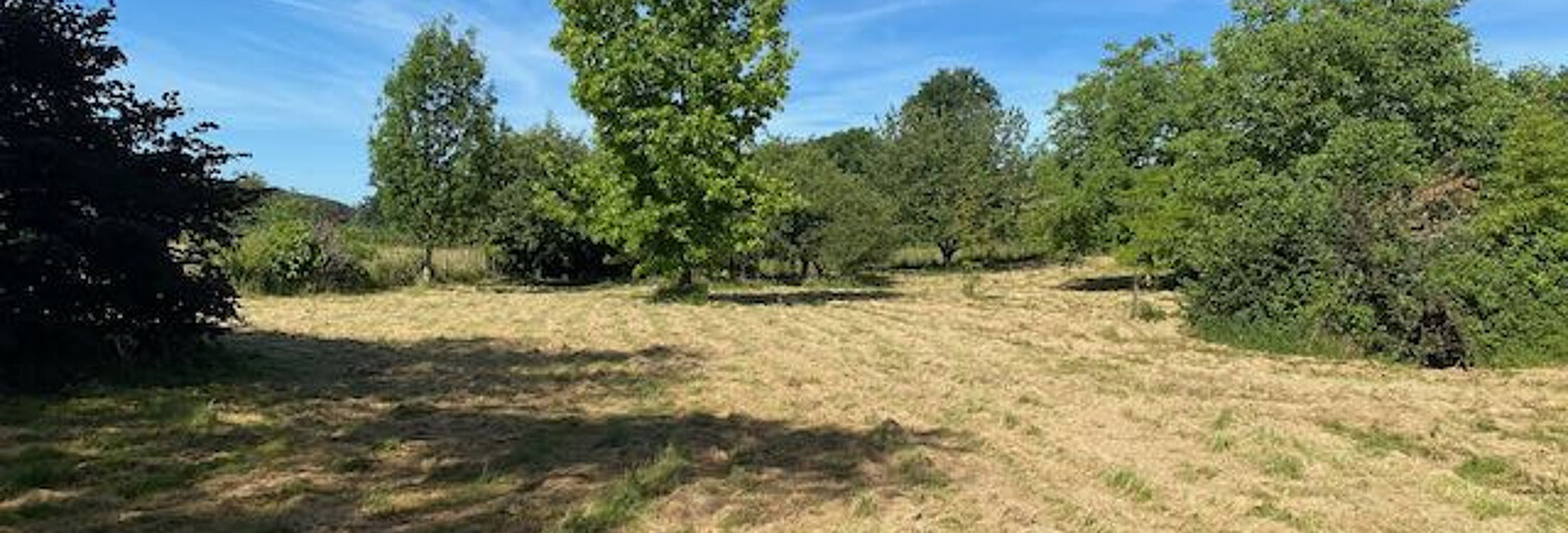 Terrain  4917 m² à vendre à Bourg-le-Comte (71110)