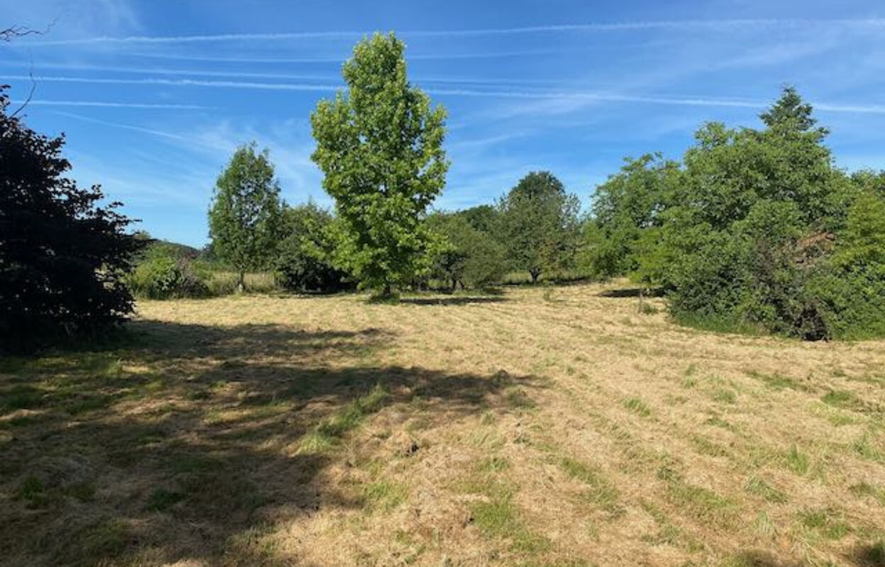 terrain  pièces 4917 m2 à vendre à Bourg-le-Comte (71110)