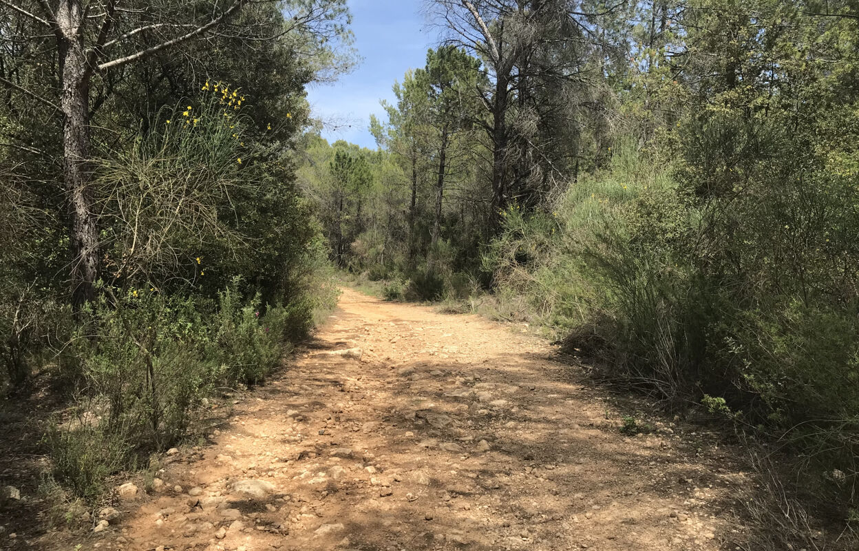 terrain  pièces 25000 m2 à vendre à Salernes (83690)