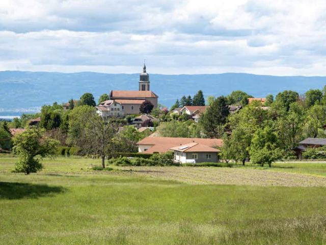 Maison proposé à Perrignier