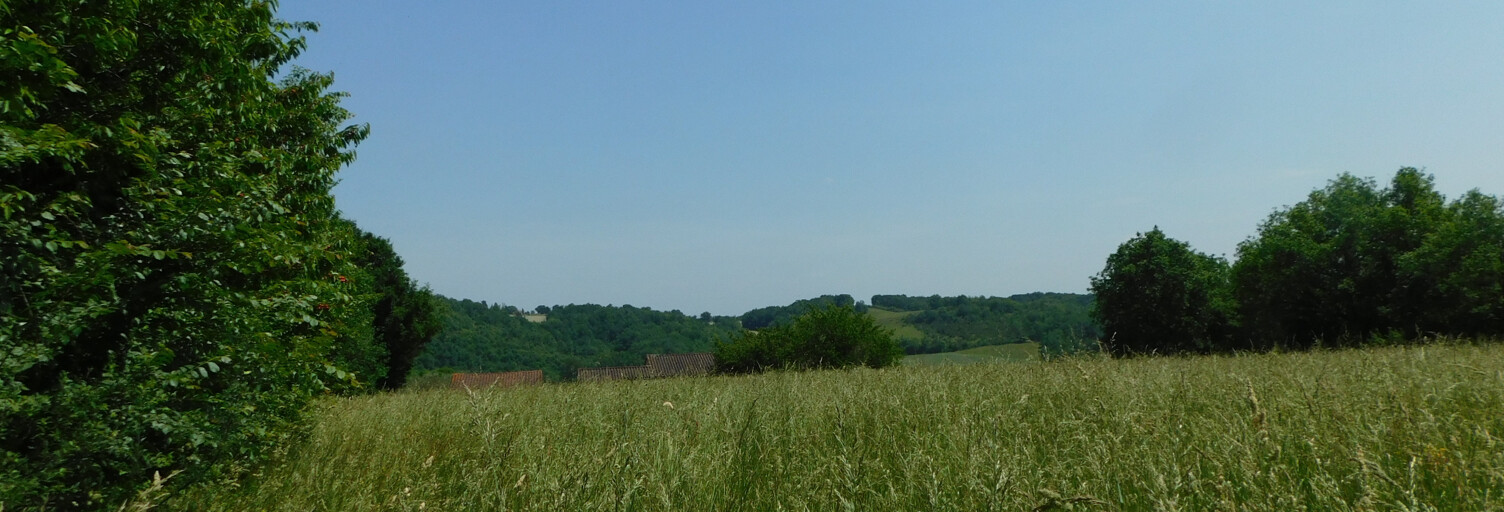 Terrain  4600 m² à vendre à Gaujan (32420)