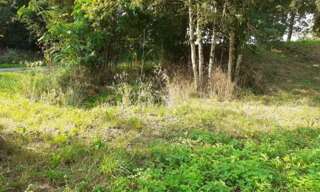 Photo N° 6