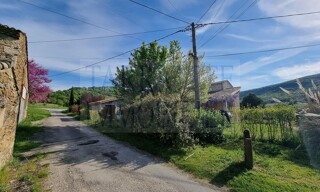 Photo N° 9