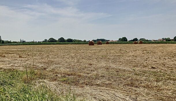 Terrain  à vendre Malaussanne 64410