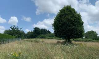 Terrain  2855 m² à vendre à Saint-Yrieix-la-Perche (87500)