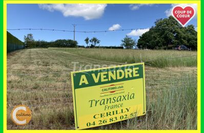vente maison 19 000 € à proximité de Meaulne-Vitray (03360)