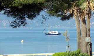 location vacances Appartement 2 Pièces 45 m² à Cannes (06400)