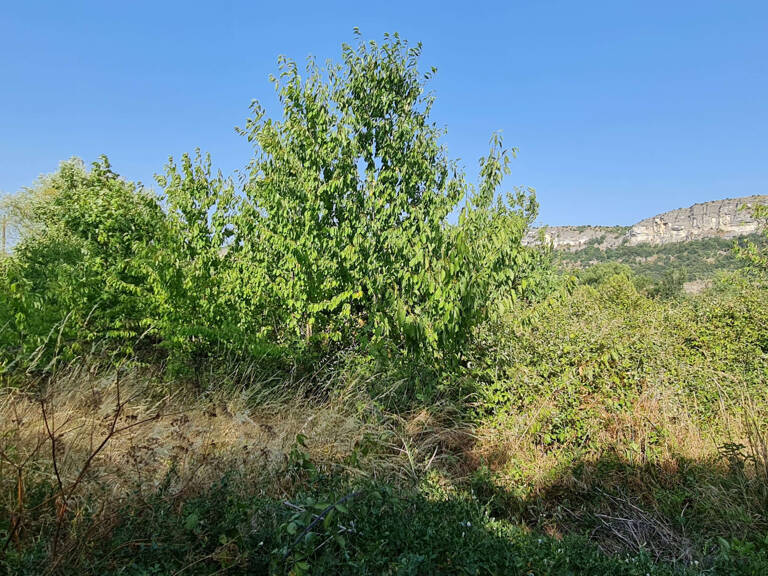 TERRAIN PLAT zone UE agglomération AUBENAS - idéal pour seig — photo 1