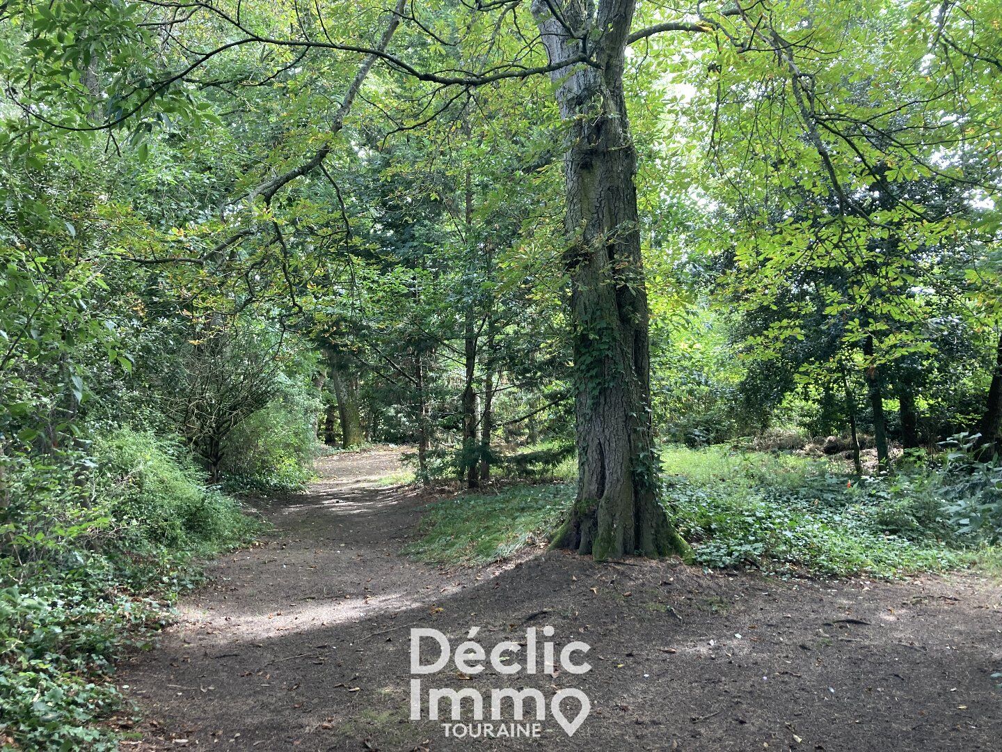 Villa / Maison  T7 à vendre Descartes 37160