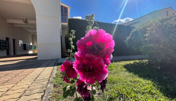 Appartement 2 pièces  à vendre Vaux-sur-Mer 17640