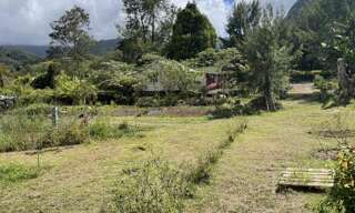 Terrain  1200 m² à vendre à La Plaine-des-Palmistes (97431)