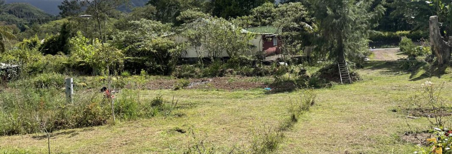 Terrain  1200 m² à vendre à La Plaine-des-Palmistes (97431)