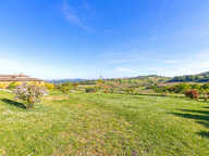 **VENDU** Un lieu exceptionnel à15mn de Villefranche ! Sur l — photo 3