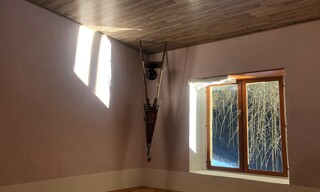 Photo N° 8
