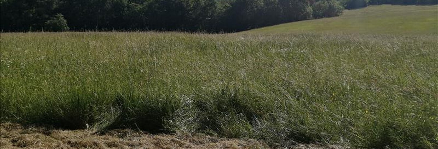 Maison 3 Pièces 54 m² à vendre à Villefranche-du-Périgord (24550)