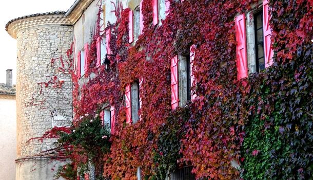 Chateau 10 pièces  à vendre Banon 04150