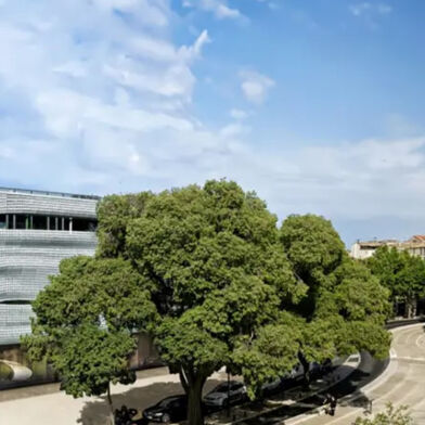 Appartement 2 pièces 195000 €