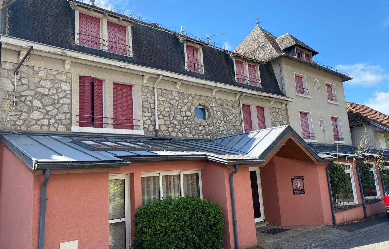 maison 21 pièces 900 m2 à vendre à Calvinet (15340)