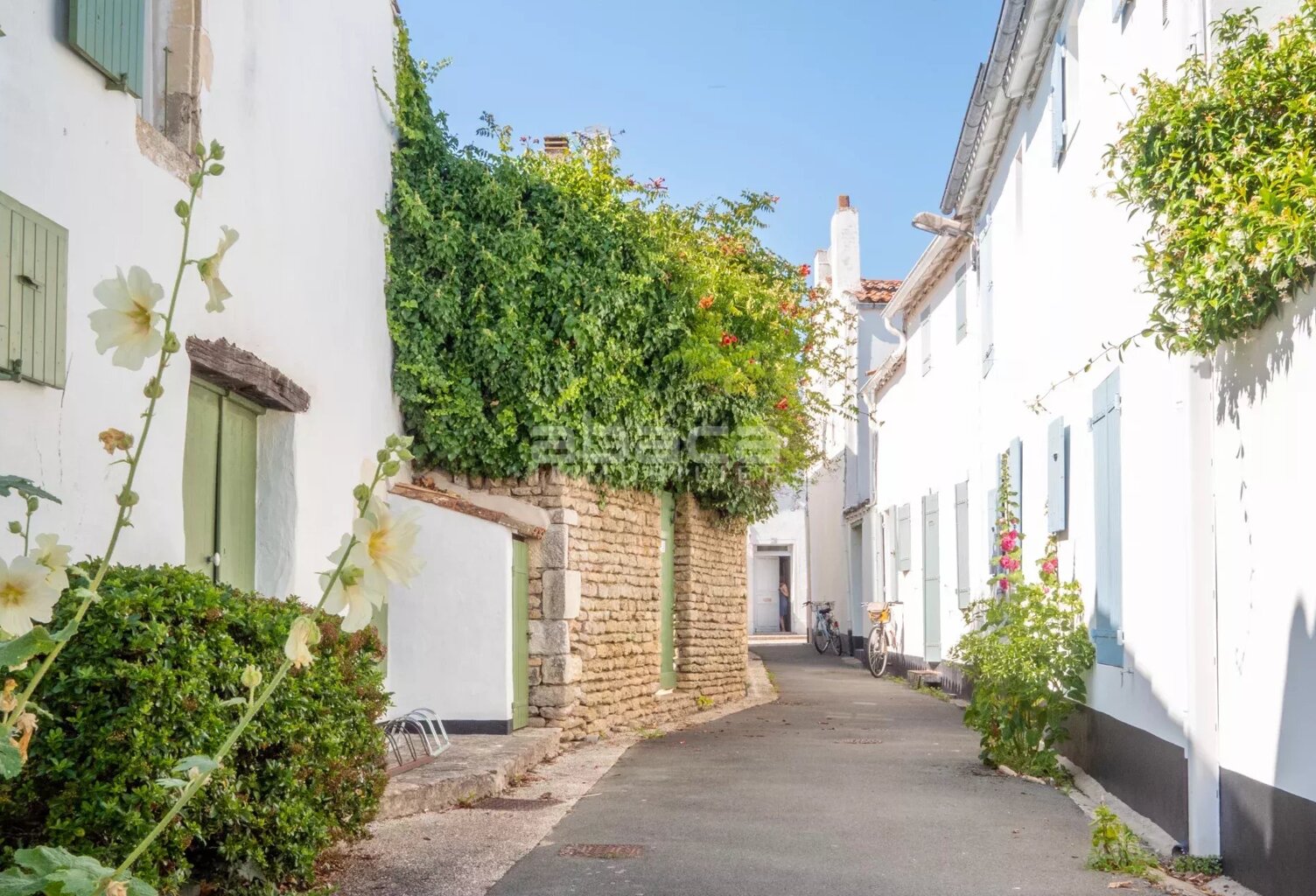 Immobilier Ile de Ré - Maison à vendre - Les Portes en Ré — photo 1
