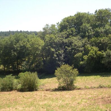 Terrain 7503 m²