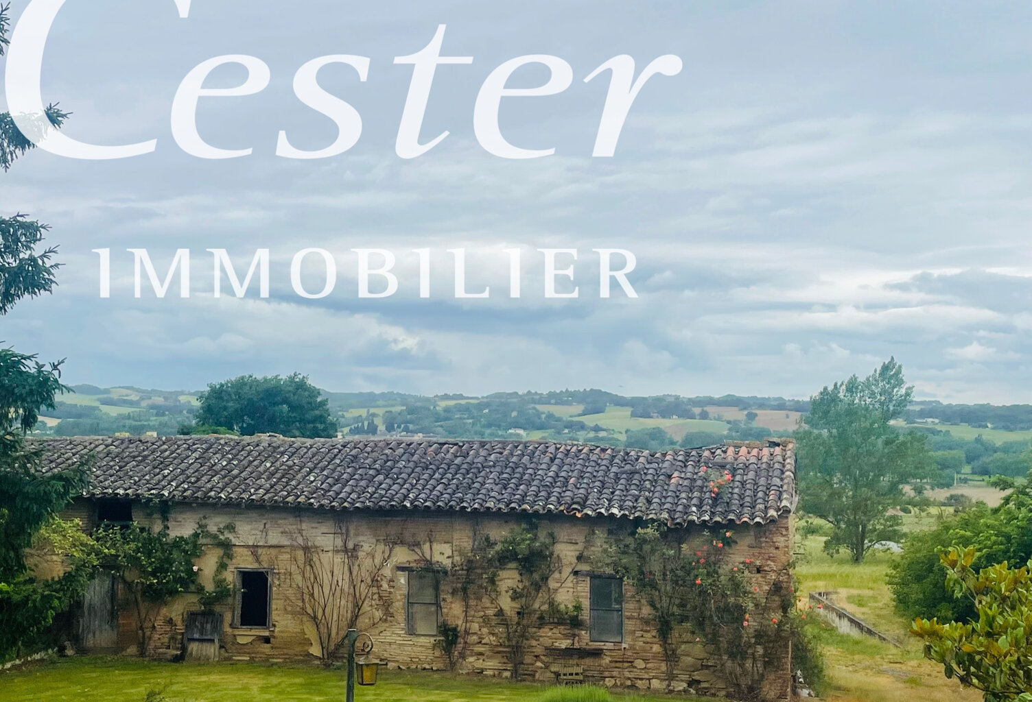 Bel ensemble immobilier en situation dominante — photo 1